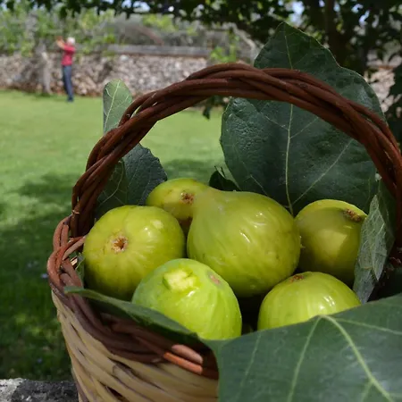 Tenuta Masseria & Chicco Rizzo Farm stay Sternatia
